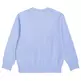 Champion Kids Basketball Flame Logo Crewneck Sweatshirt "Light blue"