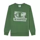 Champion Kids Graphic Crew Neck Sweatshirt "Green"