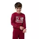 Champion Kids Graphic Crew Neck Sweatshirt "Red"