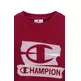 Champion Kids Graphic Crew Neck Sweatshirt "Red"
