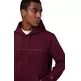 Champion Men’s Fleece Hoodie With Big Embroidered Logo Icons "Burgundy"