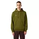 Champion Men’s Fleece Hoodie With Big Embroidered Logo Icons "Green"