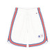 Champion Retro Basketball Mesh Shorts "White-Blue"