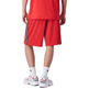 Champion Sport Lifestyle Basketball Reversible Mesh Shorts "Blue-Red"
