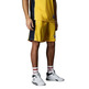 Champion Sport Lifestyle Basketball USA Logo Mesh Shorts "Buttercup Yellow"