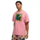 Commissioner Dylan Tee V "Pinkscape"
