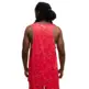 Hoopaverse Jersey "All Time Red"