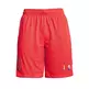 Jordan DNA Short