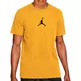 Jordan Jumpman DF SS Crew T-Shirt