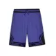 Jordan Kids JDB Air Sport Diamond Shorts "Purple Comet"