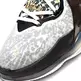 Lebron 19 "Royalty"