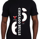 New Era NBA Chicago Bulls Established Graphic T-Shirt