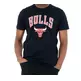 New Era NBA Chicago Bulls Logo Tee # 11 DE ROZAN #