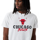 New Era NBA Chicago Bulls Script Logo Tee "White"