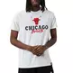 New Era NBA Chicago Bulls Script Logo Tee "White"