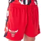New Era NBA Chicago Bulls Soccer AOP Shorts