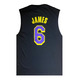 New Era NBA L.A Lakers NBA Script # 6 JAMES #