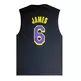 New Era NBA L.A Lakers NBA Script # 6 JAMES #