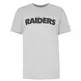 New Era NFL Snoopy Oakland Raiders X Peanuts T-shirt "Grey"