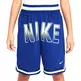 Nike DNA Dri Fit Culture of Basketball Jr "Royal Green"