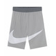 Nike Dri-Fit Boys´ Basketball Shorts "Gray"