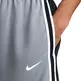 Nike Dri-FIT DNA+ Basketball Shorts "Cool Grey"