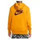 Nike Giannis Anteto Pullover Hoodie