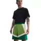 Nike Icon Dri-FIT 15 cm Basketball Shorts "Chlorophyll"