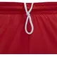 Nike Icon Dri-FIT 8" Basketball Shorts "Red"