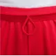 Nike Icon Dri-FIT Basketball Shorts "University Red"