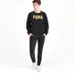 Puma Athletics Crew Sweat FL