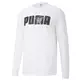 Puma Basketball Franchise Street Long Sleeve Tee