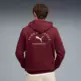 PUMA CLASS Graphic Hoodie FL "Ruby Shimmer"