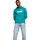 Puma ESS+ 2 Col Big Logo Hoodie FL