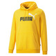 Puma ESS+ 2 Col Big Logo Hoodie FL