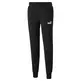 Puma ESS+ 2 Col Logo Pants FL cl