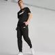 Puma ESS+ 2 Col Logo Pants FL cl