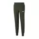 Puma ESS+ 2 Col Logo Pants FL cl