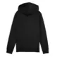 Puma ESS 2 COLOR Logo Hoodie FL "Black-Gold Moon"