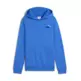 Puma ESS 2 COLOR Logo Hoodie "Mountain Blue"