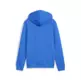 Puma ESS 2 COLOR Logo Hoodie "Mountain Blue"