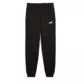 Puma ESS 2 COLOR Logo Sweatpants "Black"