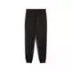 Puma ESS 2 COLOR Logo Sweatpants "Black-Gold "