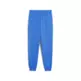 Puma ESS 2 COLOR Logo Sweatpants "Mountain Blue"