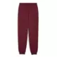 Puma ESS 2 COLOR Sweatpants "Ruby Shimmer"