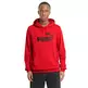 Puma ESS Big Logo Hoodie TR
