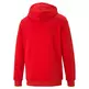 Puma ESS Big Logo Hoodie TR