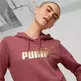 Puma ESS+ Metallic Logo Hoodie FL