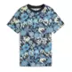 Puma ESS NATURE 2.0 AOP Tee G "Cool Blue"