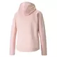 Puma Evostripe Full-Zip Hoodie